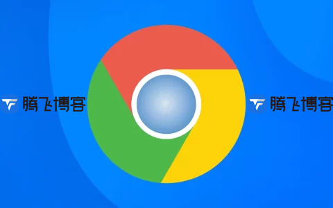 Google Chrome v121.0 谷歌Chrome浏览器，便携增强版 - 腾飞博客