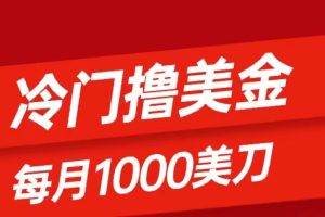 冷门撸美金项目：只需无脑发帖子，每月1000刀，小白轻松掌握 - 腾飞博客